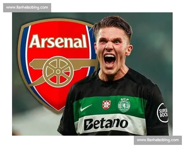 罗马诺确认！阿森纳 6500 万欧分期签苏比门迪，HWG 条款锁定中场新核