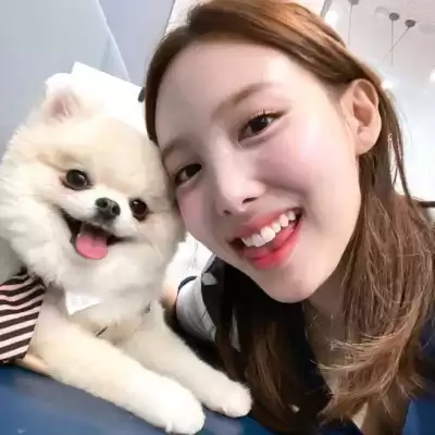 黄莉颖
